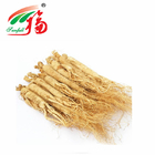 Functional Food Root Ginseng Extract Powder 15% Ginsenosides HPLC For Cosmetics