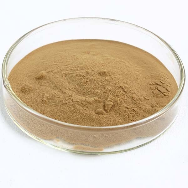 Coriolus Versicolor 추출물 10%~50% 폴리사크리드 PSK PSP 칠면조 꼬리 버섯 추출물