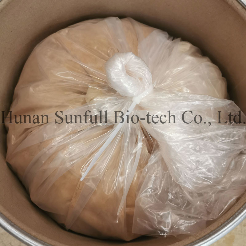진코 빌로바 잎 추출물 24/6 CAS 90045-36-6 Cp USP561 Ep EC396