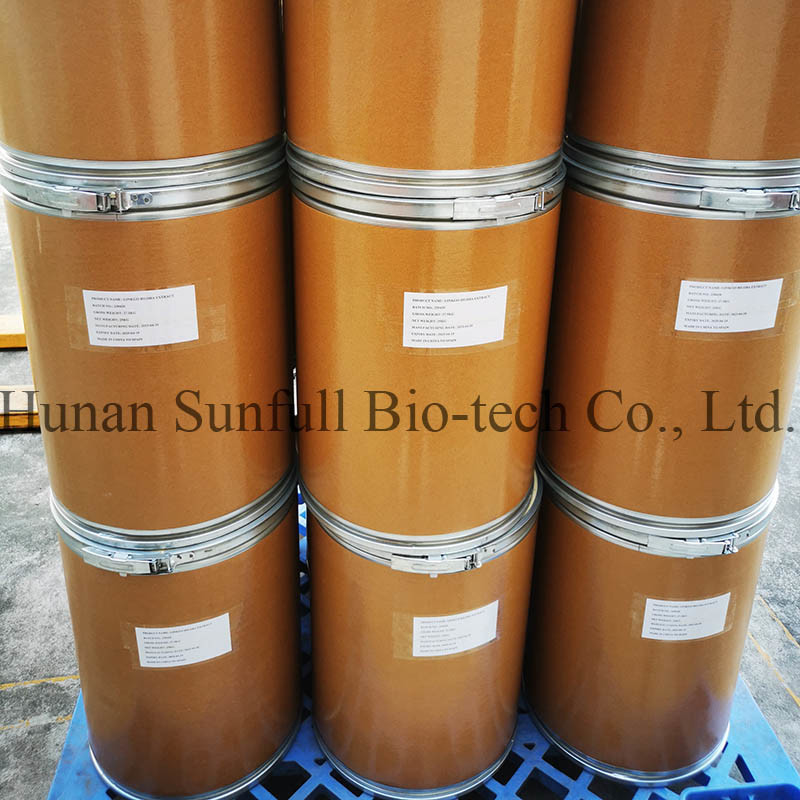 진코 빌로바 잎 추출물 24/6 CAS 90045-36-6 Cp USP561 Ep EC396