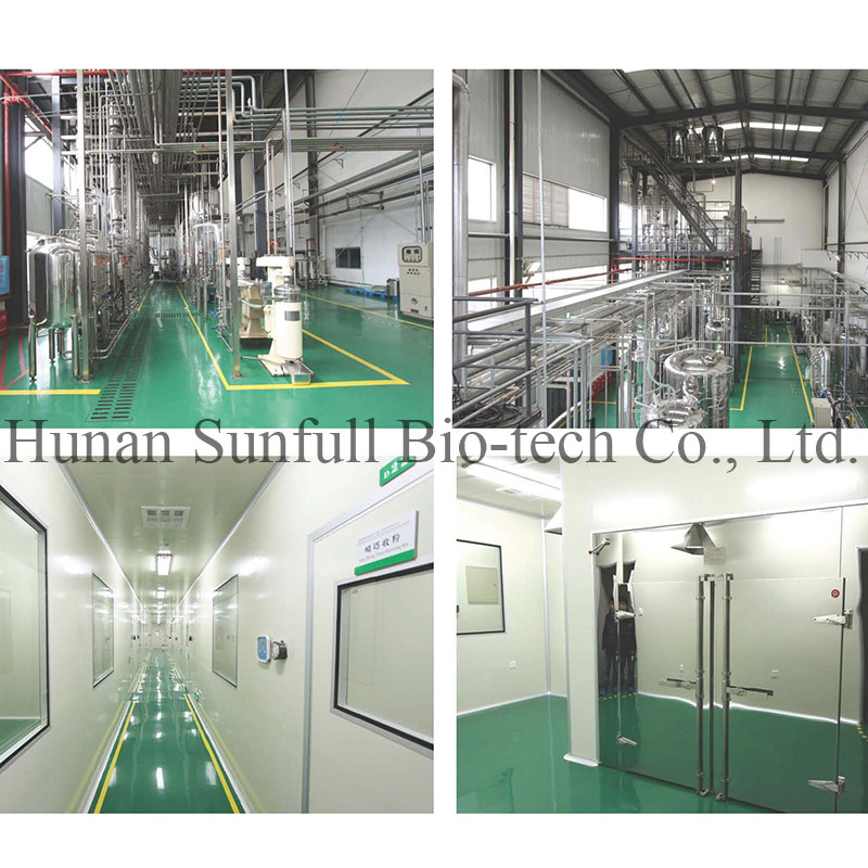진코 빌로바 잎 추출물 24/6 CAS 90045-36-6 Cp USP561 Ep EC396