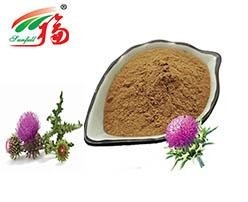 밀크 티스텔 허블 플랜트 추출물 80% 실리마린