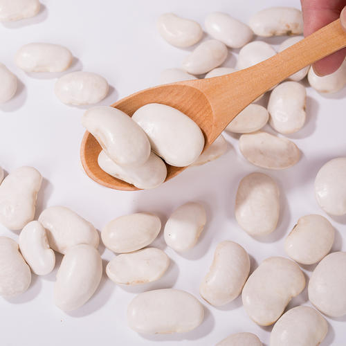 프리미엄 화이트 콩 추출물 (Phaseolus Vulgaris) - 체중 및 혈당 관리에 고 순도 α- 아밀라스 억제기