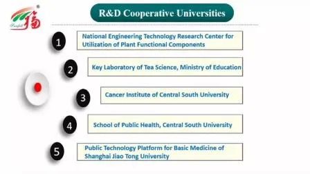 연간 20톤 생산 능력의 도매 꿀벌버섯 추출 분말, 미세한 갈색 황색 분말, 물에 잘 녹음