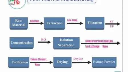 건강 관리 제품용 미세 갈색 황색 분말 식품 등급 동충하초 시넨시스 추출물