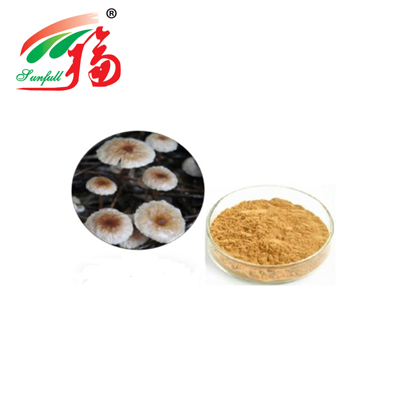 고품질 마라스미우스 안드로사케우스 추출물 분말, 80 메쉬 크기, 2년 유통 기한, 연간 20톤 생산 능력