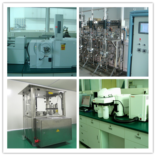 모첼라 에스쿨렌타 추출 분말 100% 80 Mesh 2 년 수명 및 20t / 년 생산 용량