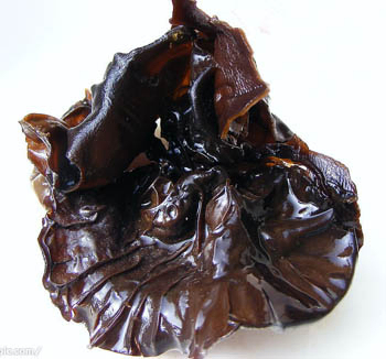 혈당 조절 및 지질 저하 효과를 위한 수용성 40% 다당류 함유 흑목이버섯 추출 분말