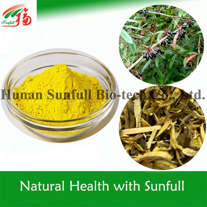 항균 추출물 베르베린 하이드록로라이드 베르베리스 (Barberry) 종의 황색 결정 분말 CAS 번호 633-65-8