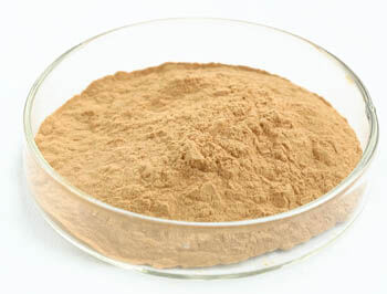 기능성 식품 및 항종양 효용을 위해 50% 폴리사카리드를 함유한 호스트리 버섯 추출물 분말