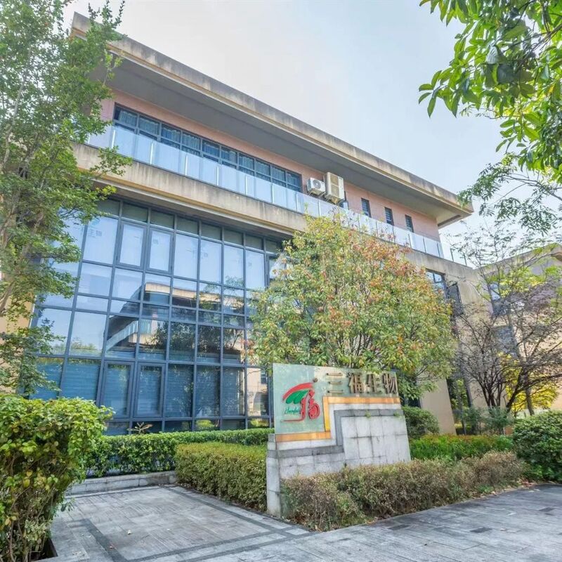 포리아 코코스 추출물 분말 30% 폴리사카리드 면역력 증진을 위한 밝은 노란색 갈색 분말