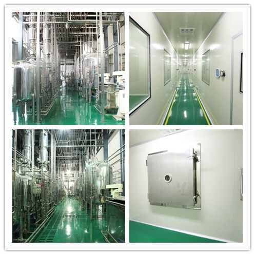 복령 추출물 분말 50% 다당류 면역력 증진 식품 및 건강 관리를 위한 연한 황갈색 분말