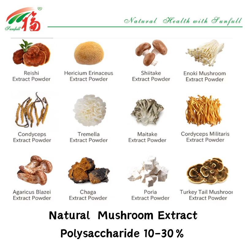 천연 유기농 성분 규정식 보충교재 다당류 10-30% Phellinus Igniarius /Ganoderma Lucidum/Chaga/Maitake/표고버섯 추출물 분말