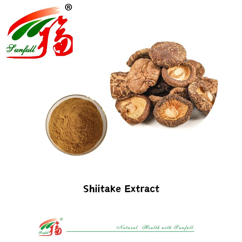 천연 유기농 성분 규정식 보충교재 다당류 10-30% Phellinus Igniarius /Ganoderma Lucidum/Chaga/Maitake/표고버섯 추출물 분말