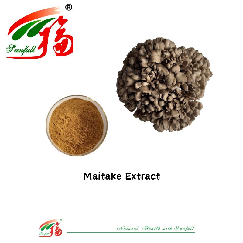 천연 유기농 성분 규정식 보충교재 다당류 10-30% Phellinus Igniarius /Ganoderma Lucidum/Chaga/Maitake/표고버섯 추출물 분말