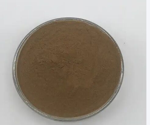 ISO/코셔 소화 촉진 식품 등급 카시아 씨 추출물 10: 1 / 20% HPLC 센노사이드 세나 잎 추출물