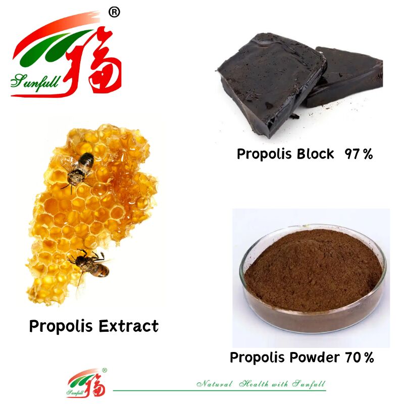 식이 보충제/의약품 플라보노이드 함량이 높고 10%~20% 수 soluble Propolis Block 97% / Propolis Powder 70% Propolis Extract