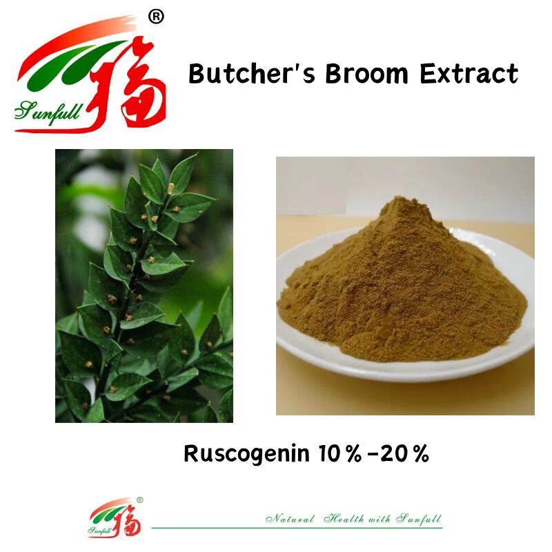 고품질 공장 가격 Ruscus Aculeatus 뿌리 추출물 10% ~ 20% Ruscogenin 살육자 빗 추출물