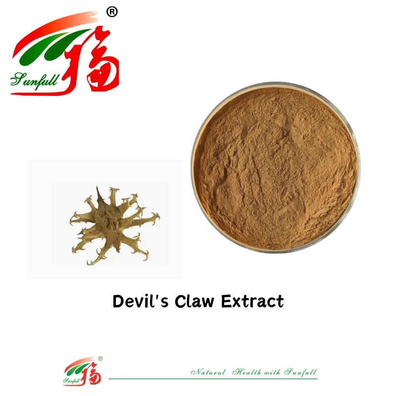 자연 순수 CAS 19210-12-9 Harpagophytum Procumbens 분말 5% Harpagoside Devils Claw 추출물