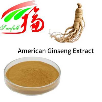 Plant Extract Ginsenosides 1%-90% American Ginseng Extract Powder Panax quinquefolius L.
